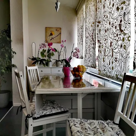 Orchidee Pula