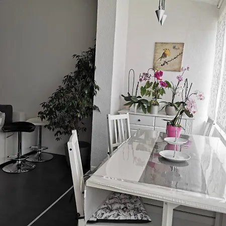 Orchidee * Pula
